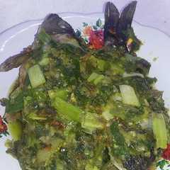รูปของ Ikan mas lado hijau/ikan mas cabe hijau