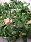 Tumis Horenzo Champignon