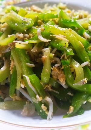 Foto resep Tumis Labu Siam Teri Medan