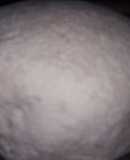 Soya paneer