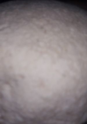 A picture of Soya paneer.