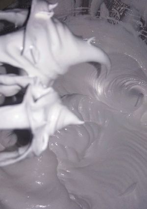 Una foto de Merengue Suizo