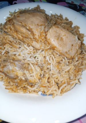 A picture of Afghani Biryani.
