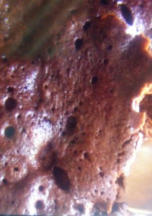 A picture of Mug cake.