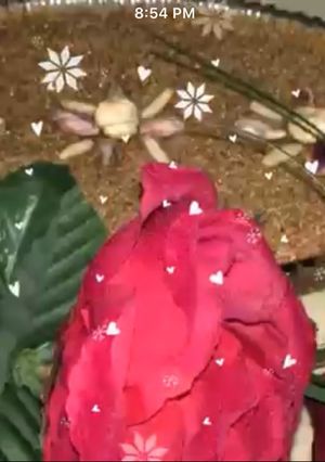 صورة لوصفة حلاوة السميد
