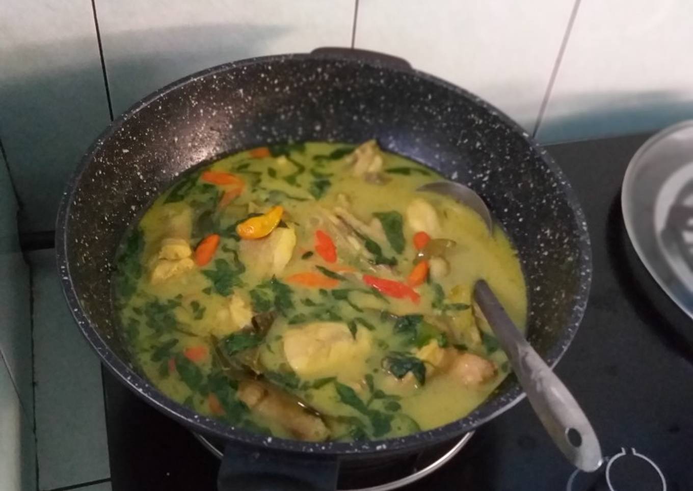 Ayam rica2