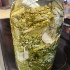 A picture of Brad's pickled mustard greens.