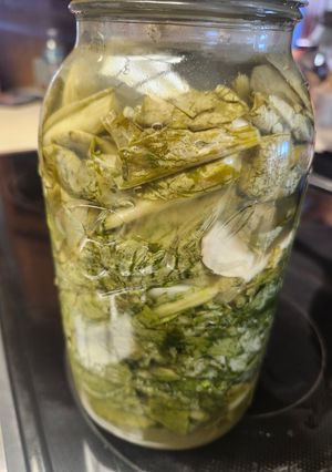 A picture of Brad's pickled mustard greens.