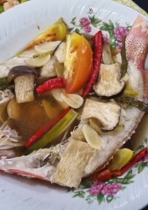 Foto resep Tim kakap merah
