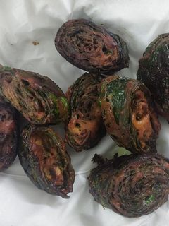 તળેલા પાત્રા (Fried Patra Recipe In Gujarati) રેસીપી મુખ્ય ફોટો