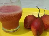 Jus terong belanda