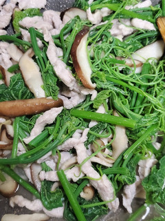 龍鬚菜炒香菇肉絲 的食譜成品照片