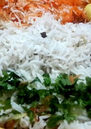 A picture of Tiranga Chicken Biryani.