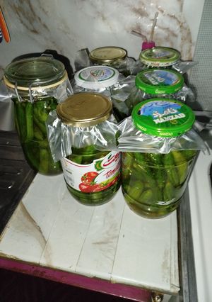 عکسی از دستور خیارشور نول اعلا