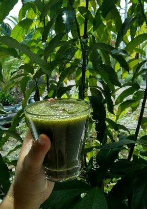 Foto resep Greelet Juice ala Agip Riani