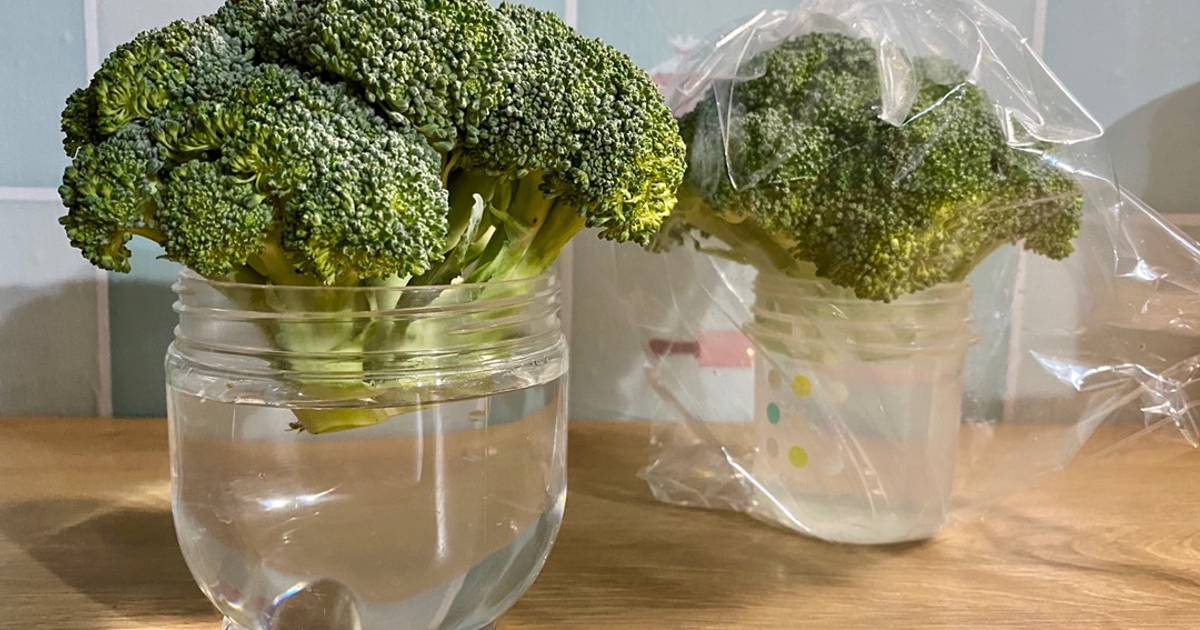 花椰菜保存法食譜與作法by 斑馬太太 Cookpad