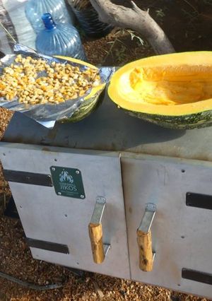 A picture of Baked pumpkin and pumpkin seeds.
