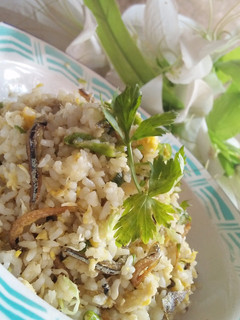 Foto resep Nasi Goreng Kampung