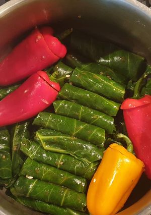 A picture of Stuffed Spring Greens and Peppers.
