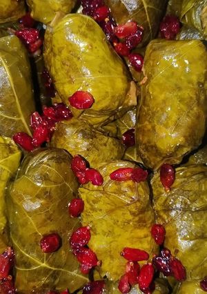 عکسی از دستور دلمه برگ مو با شیره انگور