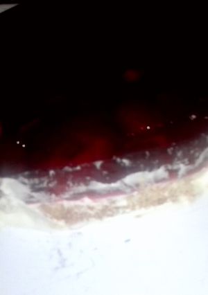 Una foto de Torta gelatina con frutilla y crema