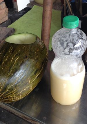 Foto principal de Botijo/Melón