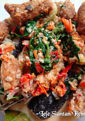 Foto resep Lele Santan Kemangi