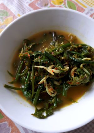 Foto resep Gulai Pakis