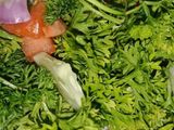 Salad Timun, Tomato dan Parsley (dengan lemon, limau kasturi dan limau nipis)