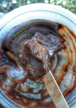 Foto resep Es krim coklat super simple tanpa sp