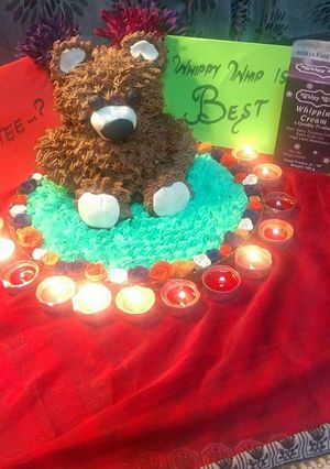 A picture of Double Chocolate fudge bear cake.
