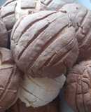 Conchas