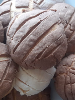 Una foto de Conchas