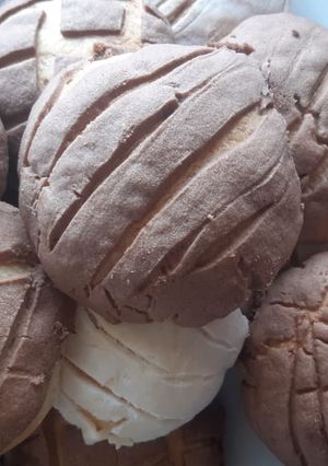 Una foto de Conchas