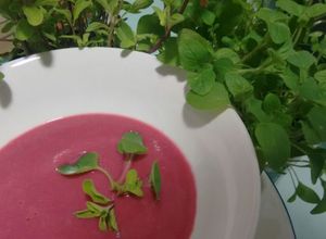 Foto principal de Crema de remolacha con leche de coco, orégano y mejorana enriquecida con Agua de Mar