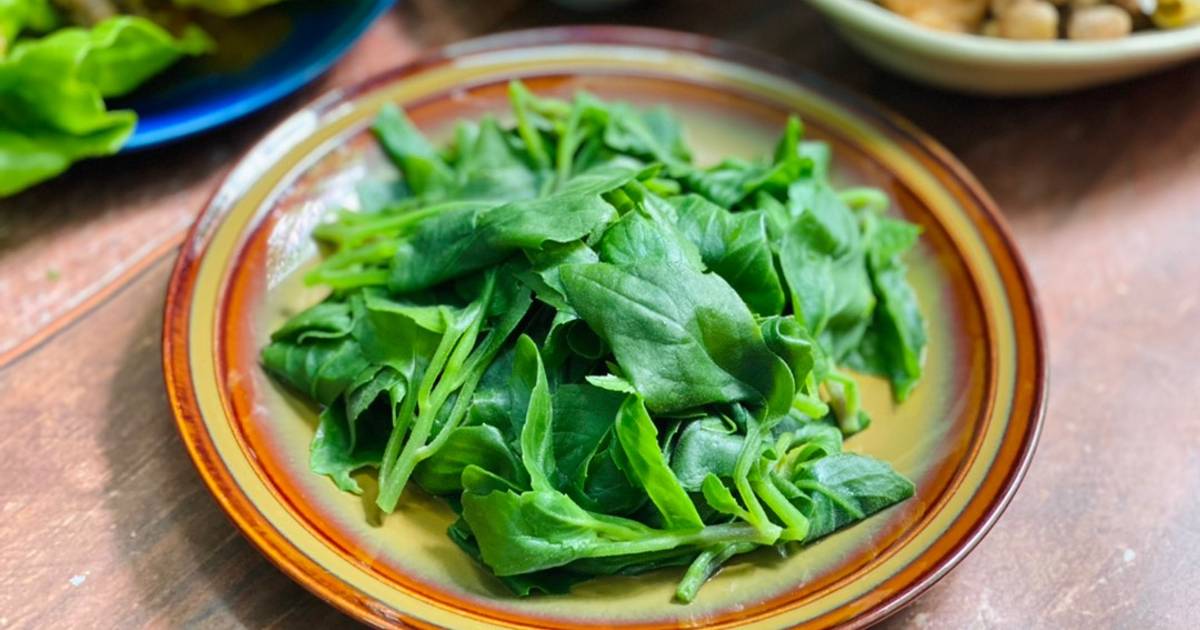 49 món rau rừng thơm ngon, đa dạng và dễ làm tại nhà - Cookpad