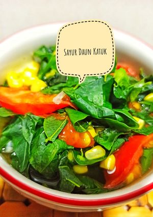 Foto resep Sayur Daun Katuk