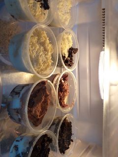 Foto resep Stup roti