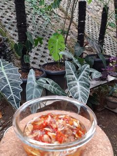 Foto resep Sambal iris (sambal embe)