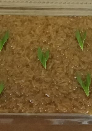 Foto resep Wajik Ketan Gula Merah