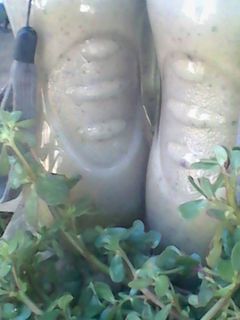 A picture of Banana peel and purslane smoothie.