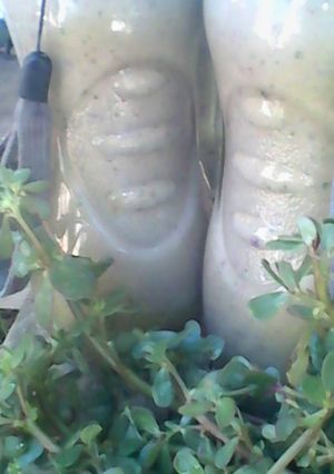 A picture of Banana peel and purslane smoothie.