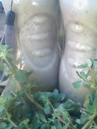 Easy Way Make Recipe Banana peel and purslane smoothie that is  Makes Drooling, Appealing}