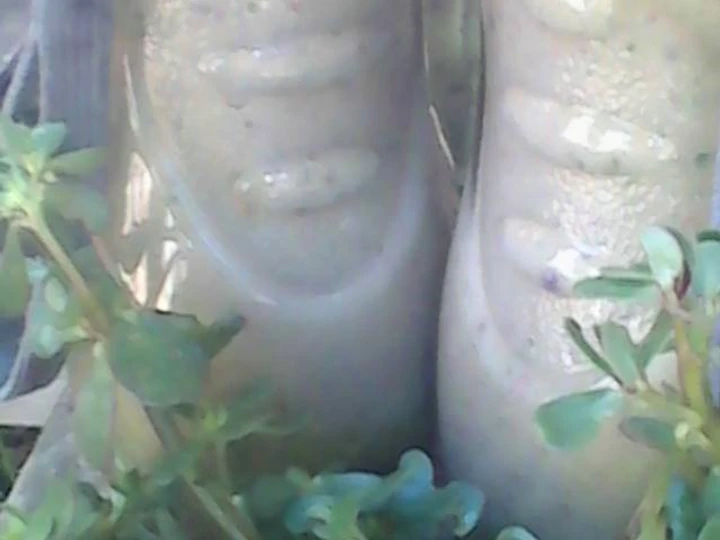 Easy Way Make Recipe Banana peel and purslane smoothie that is  Makes Drooling, Appealing}