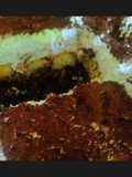 Tiramisu - Brownies: μπράουνις με σοκολάτα (κουβερτούρα), σαβαγιάρ με καφέ & κρέμα τιραμισού ✨
