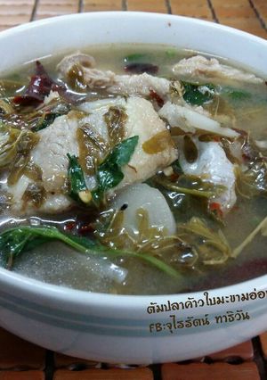รูปของ ต้มปลาค้าวใบมะขามอ่อน โดย:ทำครัวง่ายๆbyจุไรรัตน์