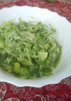 عکسی از دستور شام رژیمی