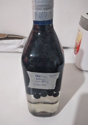 Una foto de Licor casero de arándanos simil patxaran vasco