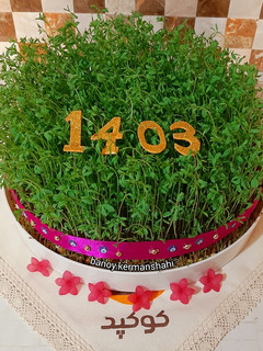 عکسی از دستور سبزه عدس پلویی (چالش در استقبال بهار)