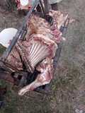 Mbuzi/Kondoo Choma
